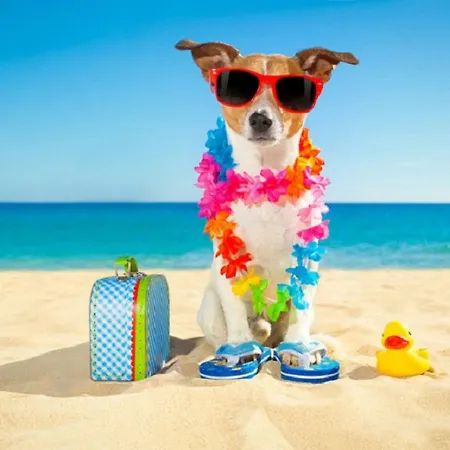 O Loft Des Croisiens Hébergement de vacances