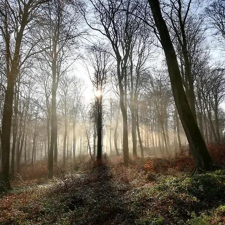 O Loft Des Croisiens Hébergement de vacances *